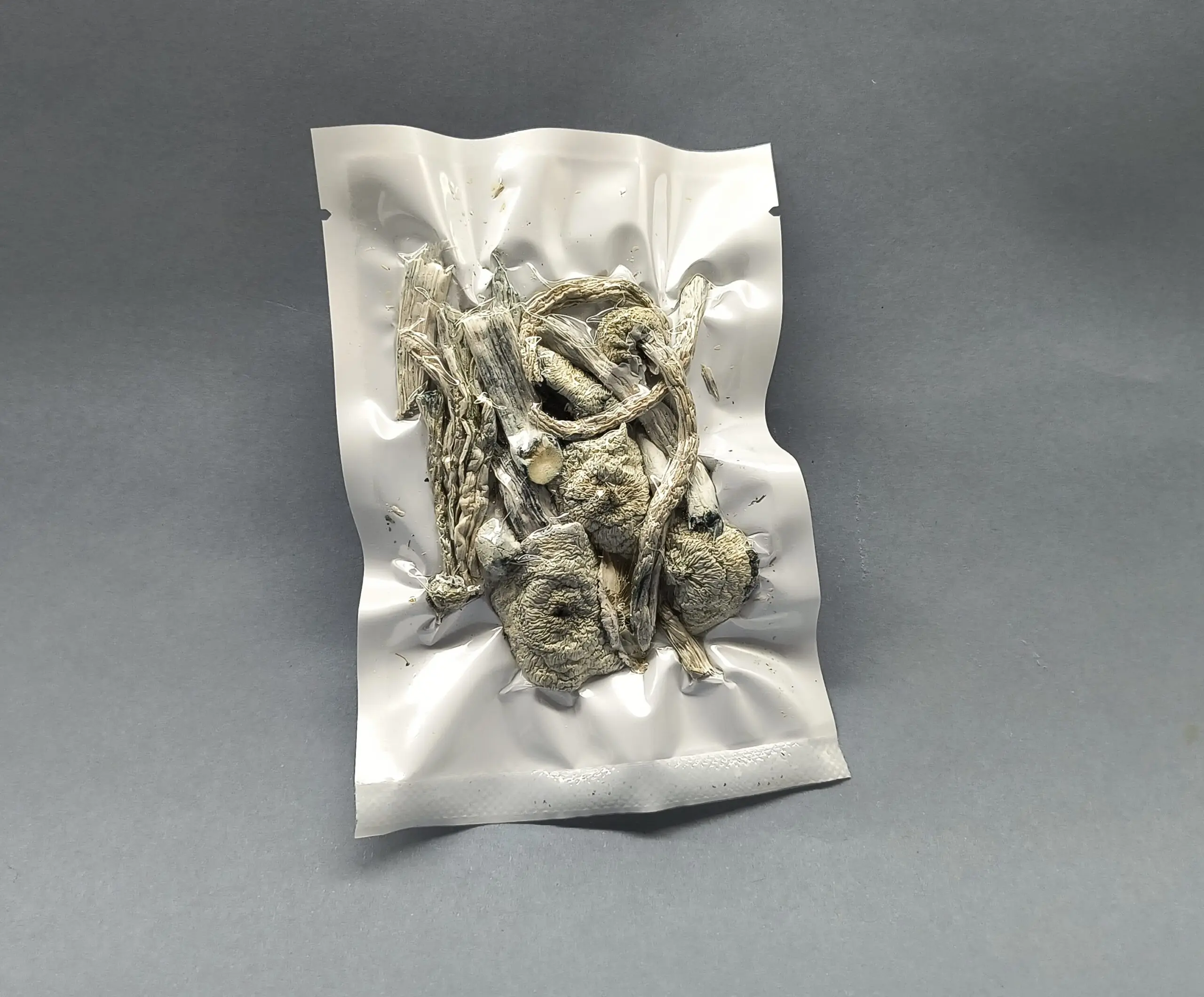 Cogumelo P. cubensis - True Albino Teacher (Pacotes de 1g) - Imagem 4