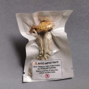 Cogumelo P. cubensis - Penis envy 7 (Pacotes de 1g)