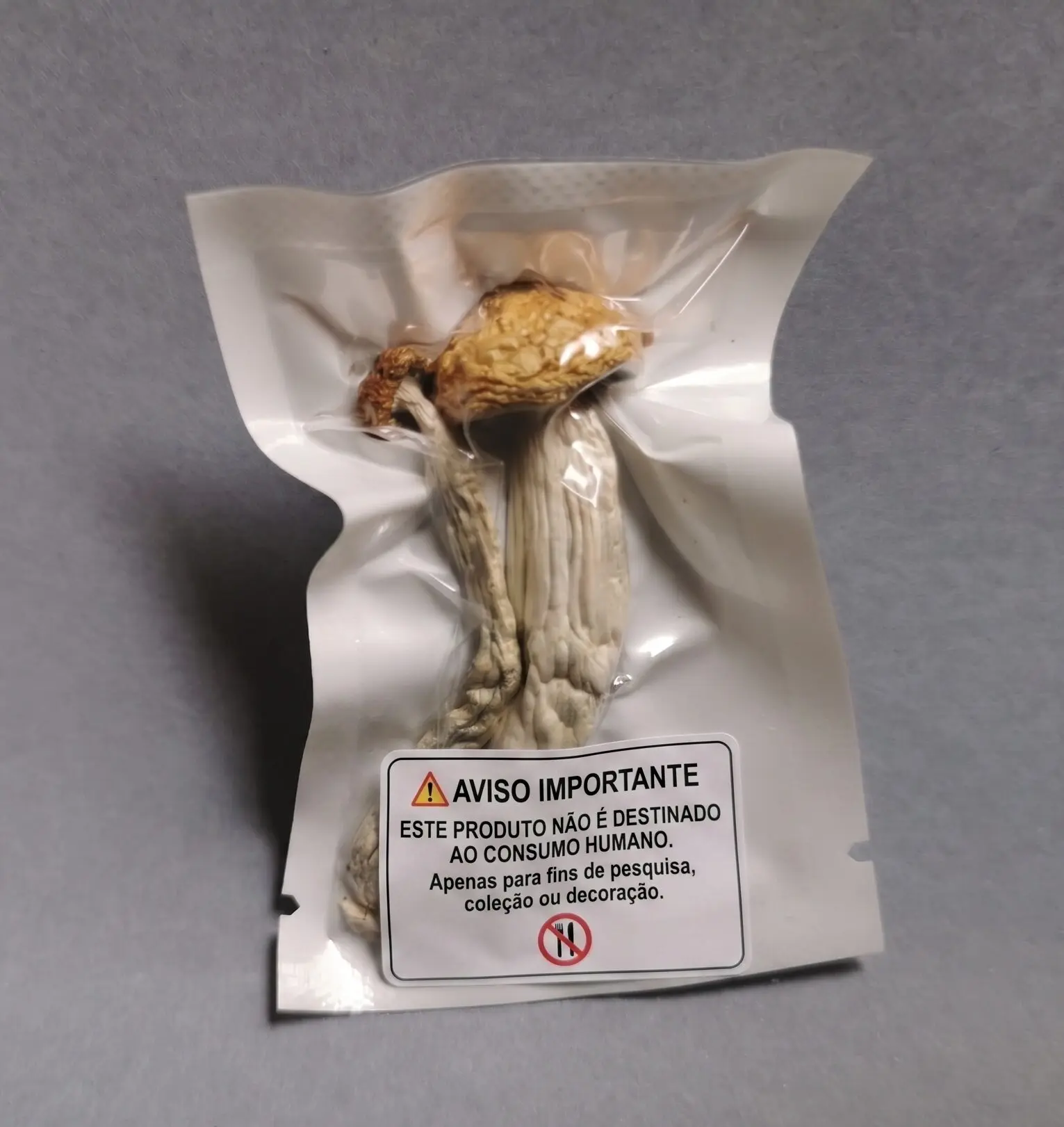 Cogumelo P. cubensis - Penis envy 7 (Pacotes de 1g)