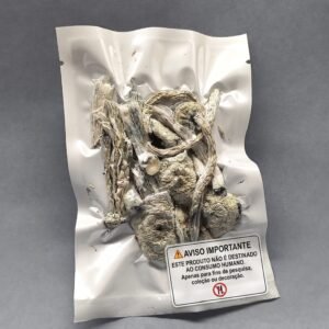 Cogumelo P. cubensis - True Albino Teacher (Pacotes de 1g)