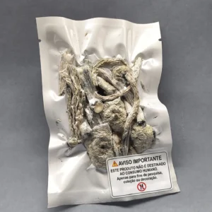 Cogumelo P. cubensis - True Albino Teacher (Pacotes de 1g)