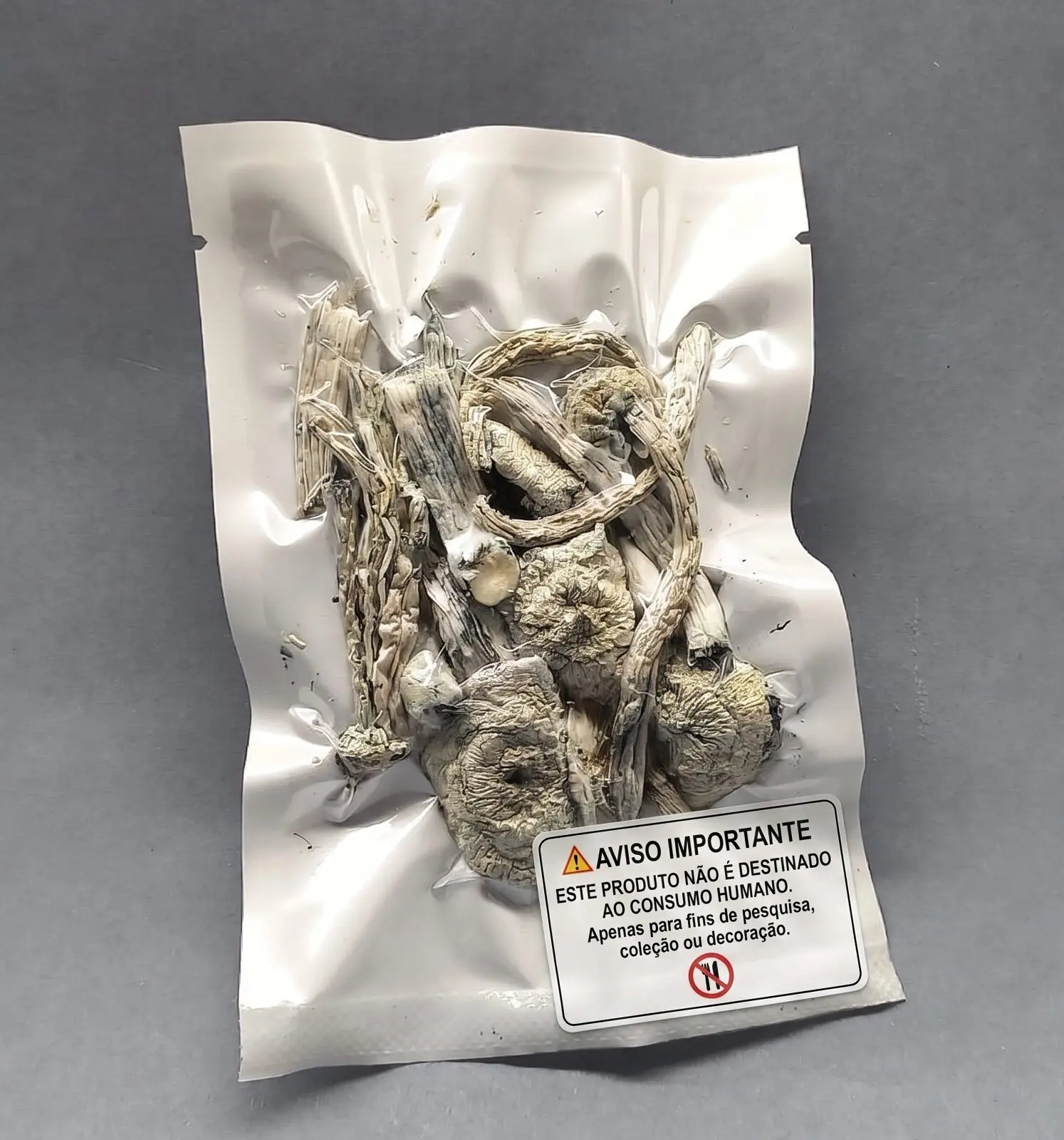 Cogumelo P. cubensis - True Albino Teacher (Pacotes de 1g)